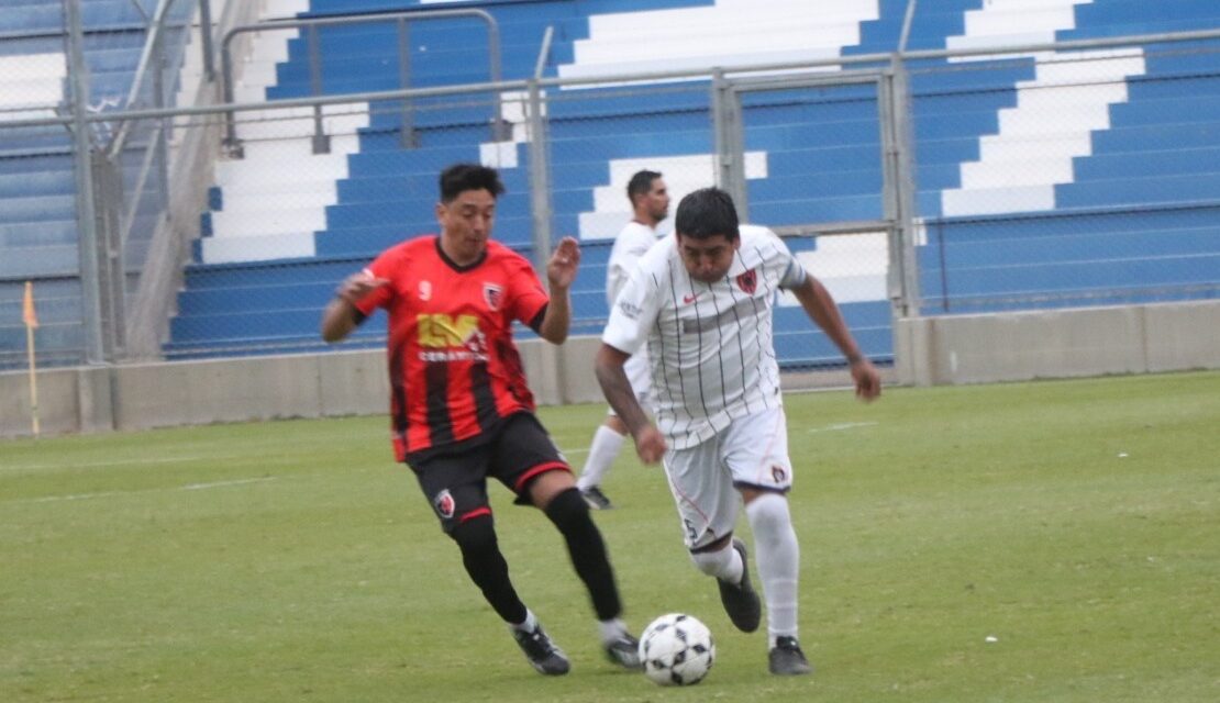 Gran cierre en el Bicentenario para la Liga Amateur del Sur