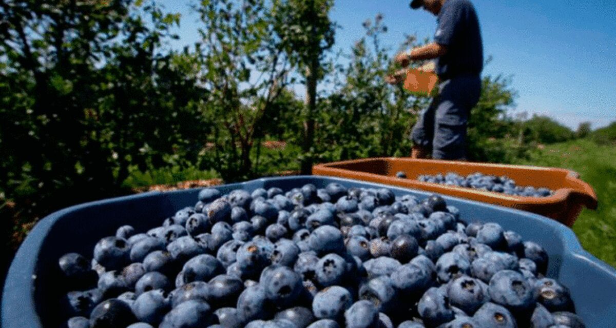 Economías regionales, en alerta por las barreras comerciales que impuso Donald Trump