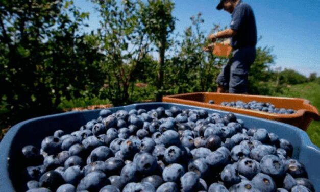 Economías regionales, en alerta por las barreras comerciales que impuso Donald Trump