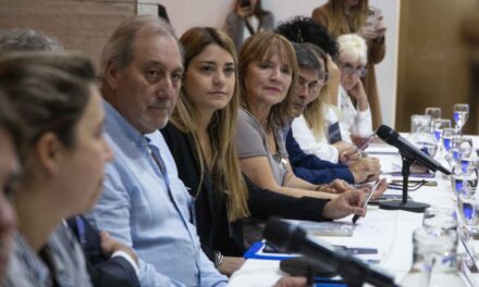 San Juan participó en reunión del COFEDRO para avanzar en políticas contra el consumo de drogas