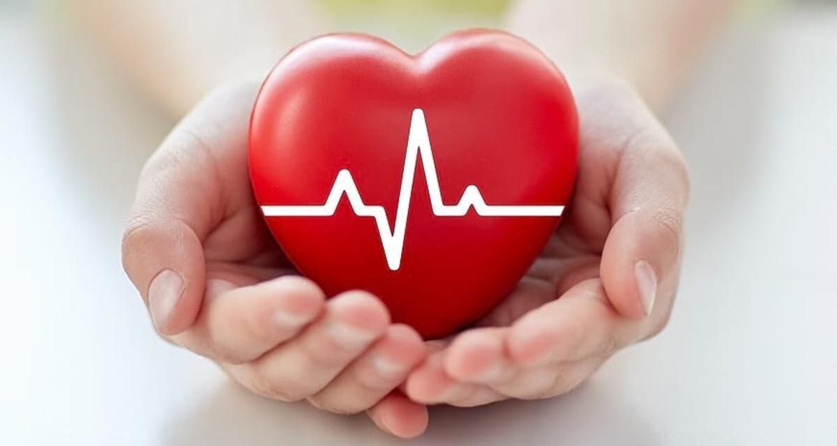 Esta nueva Inteligencia Artificial podría detectar riesgos de corazón más rápido, según un estudio