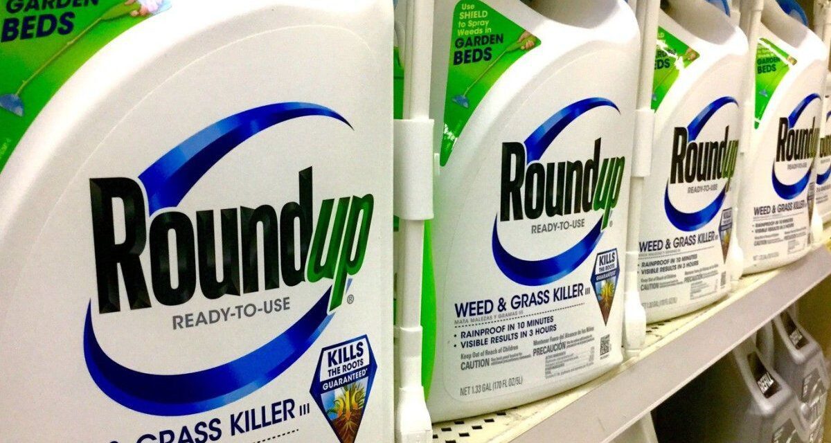 La empresa Bayer enfrenta un juicio en Francia por malformaciones a causa de los efectos del glifosato