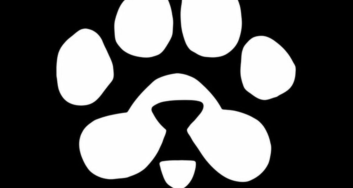 Blum pone en circulación $PAWS y activa un fondo de 250 millones de dólares