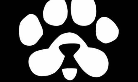 Blum pone en circulación $PAWS y activa un fondo de 250 millones de dólares