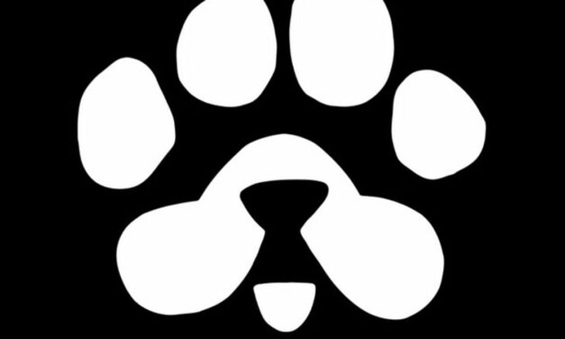 Blum pone en circulación $PAWS y activa un fondo de 250 millones de dólares