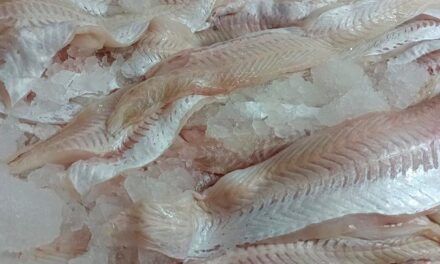 Consejos y precauciones al comprar pescado durante Semana Santa