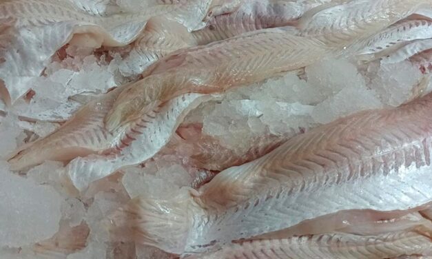 Consejos y precauciones al comprar pescado durante Semana Santa