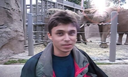 Me at the zoo, a 20 años del primer video subido a YouTube