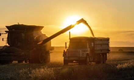 Gobernadores reaccionaron al anuncio de baja de retenciones de Javier Milei