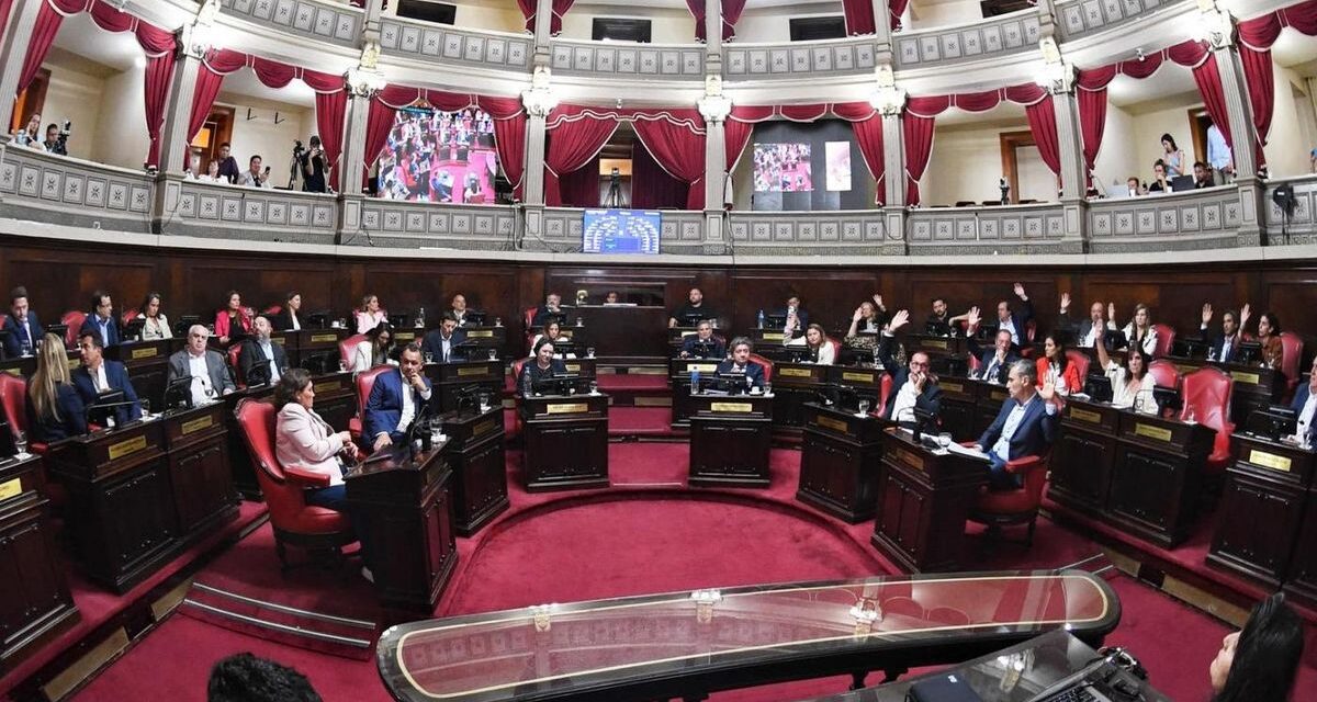 El enfrentamiento por la suspensión de las PASO se traslada al Senado de la provincia de Buenos Aires