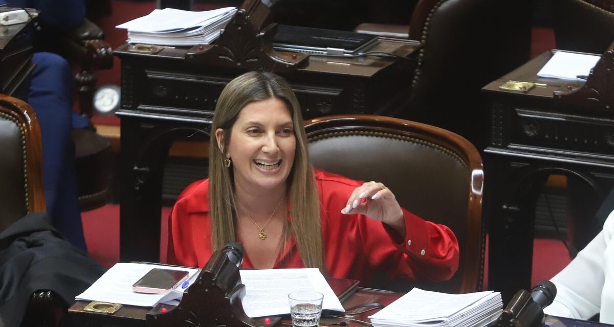 Los motivos por los cuales el PRO vuelve a desconfiar de los libertarios