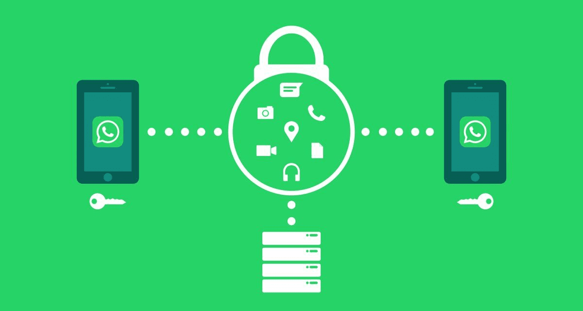Esta actualización de WhatsApp promete proteger tu privacidad