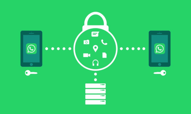 Esta actualización de WhatsApp promete proteger tu privacidad