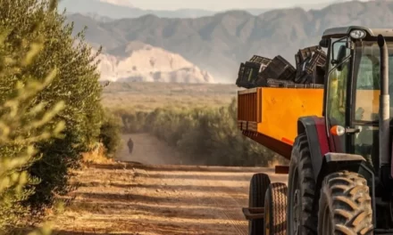 San Juan, segunda provincia con mayor crecimiento exportador en 2024