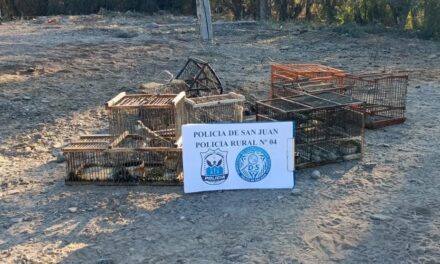 Operativos rurales: Rescatan más de 20 aves autóctonas en Sarmiento y Caucete