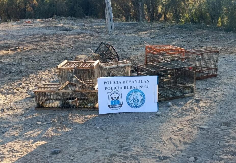 Operativos rurales: Rescatan más de 20 aves autóctonas en Sarmiento y Caucete