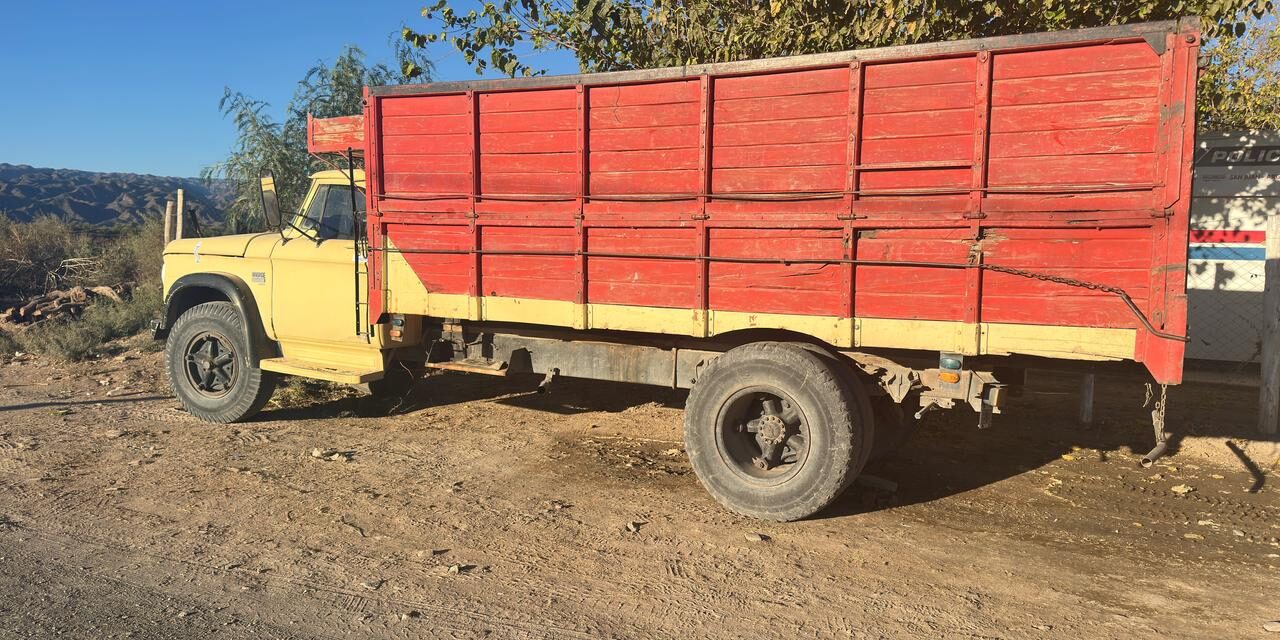 Caucete: Detectan camión con 2.500 kilos de pasas de uva sin documentación