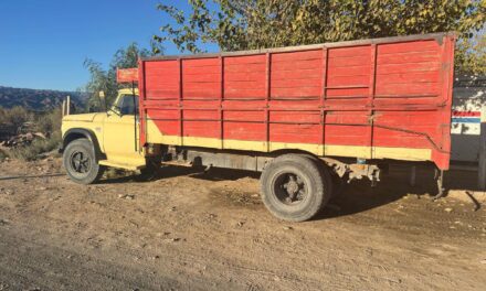 Caucete: Detectan camión con 2.500 kilos de pasas de uva sin documentación