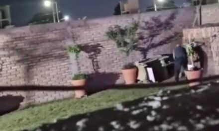 <div class="volanta-custom" style="
                color: #444;
                font-size: 0.8rem;
                font-weight: 600;
                line-height: 1.1;
                margin-bottom: 6px;
                text-transform: uppercase;
                letter-spacing: 0.3px;
                text-align: left;
            ">Mira el video</div><div class="post-title-custom" style="text-align: left;">INDIGNANTE: Violento ataque de un sujeto a su perro</div>