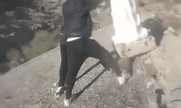 Investigan el daño a una escultura religiosa en el Cerro Nacif Wey