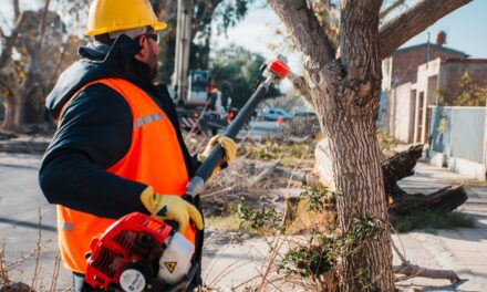 La Municipalidad de Rawson Brinda Capacitación en Poda y Manejo Seguro de Máquinas