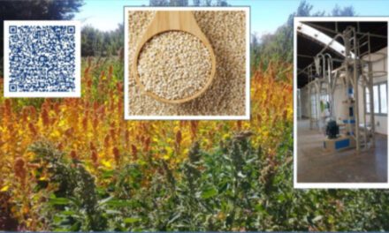 San Juan inaugura una planta modelo para el agregado de valor en quinua