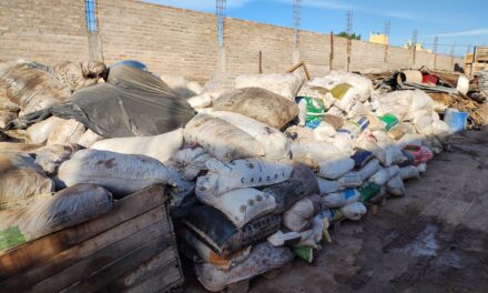 Escándalo rural: Encuentran 82.000 kilos de pasas sin justificar en una chacarita clandestina