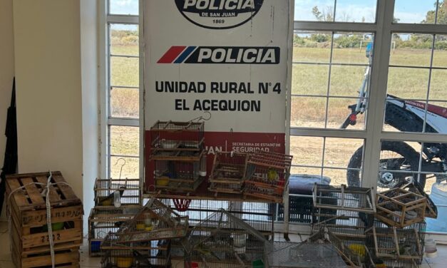 Secuestran 25 aves autóctonas en un operativo en Sarmiento valuado en $6 millones