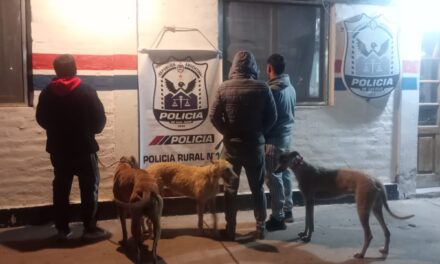 Detectan transporte ilegal de galgos en un operativo rural en Caucete