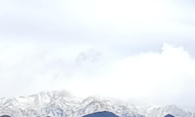 Valle Fértil bajo cero, miras la imágenes