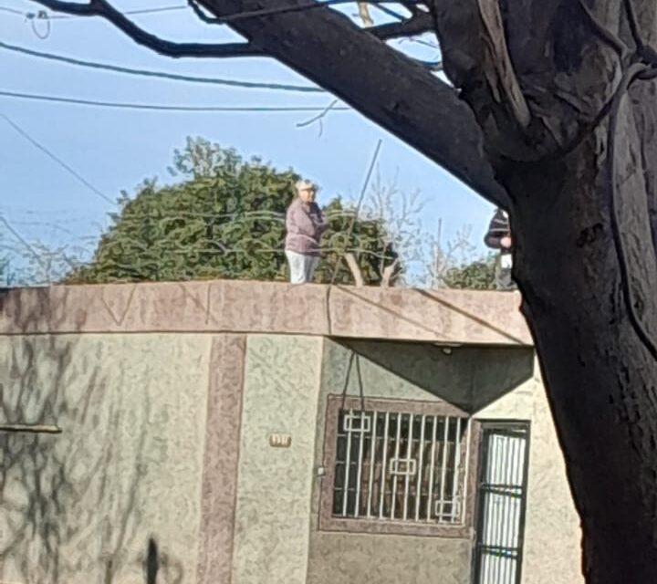 Villa Carolina: Un perro murió tras ser atacado con ácido
