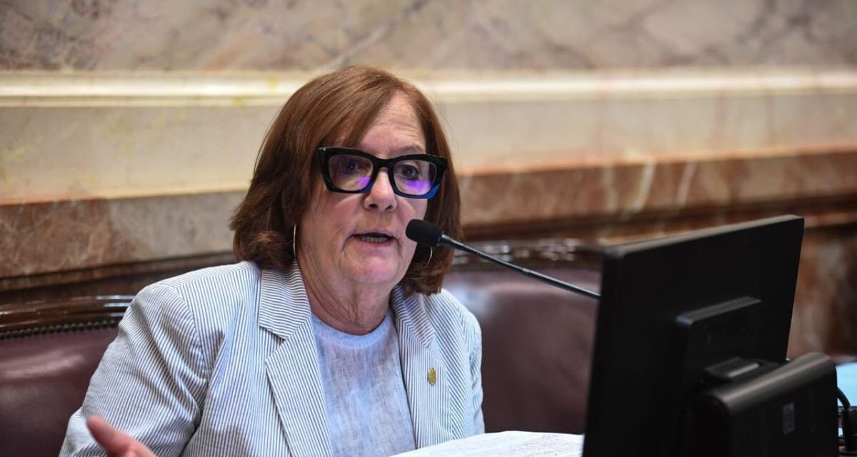 Denuncian que el gobierno de Milei terminó siendo funcional al kirchnerismo