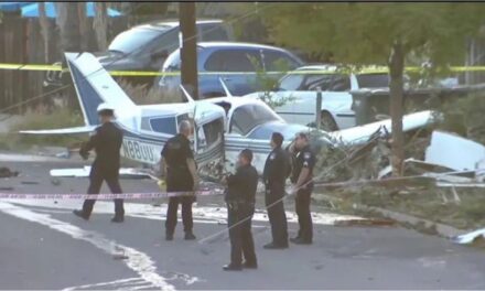 Una avioneta se estrelló en San Diego y causó incendios en casas y autos