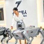 Los robots chinos enfrentan el desafío de su adopción en la industria