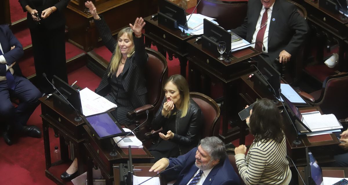 Razones para cargar culpas a La Libertad Avanza o al kirchnerismo por el rechazo del proyecto