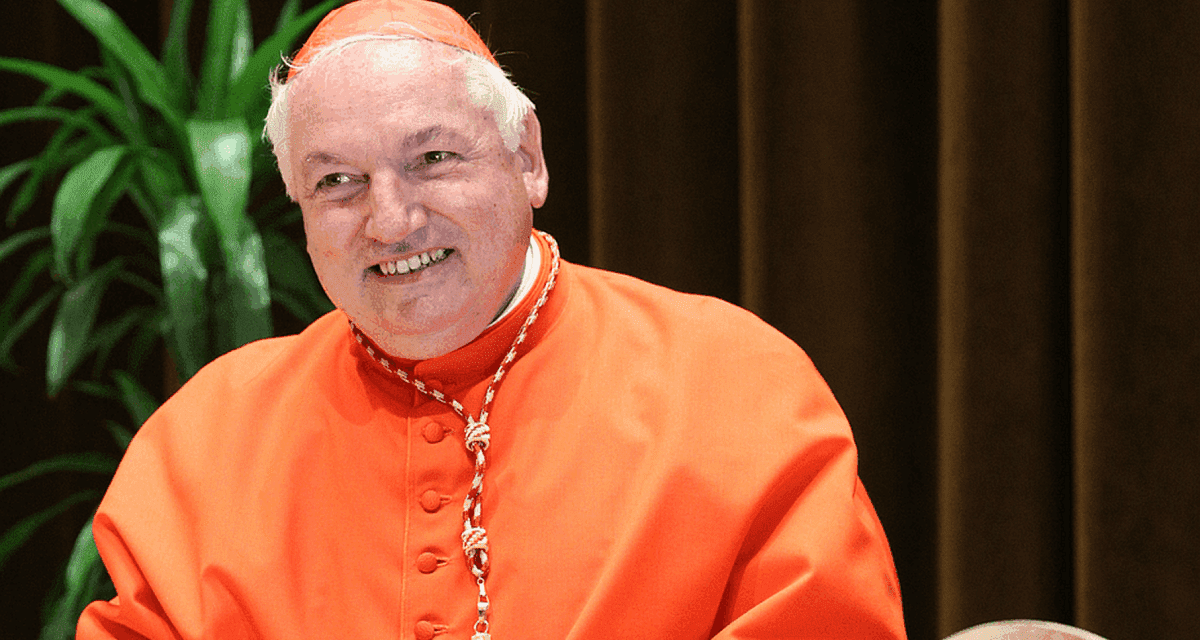 Quién es Jean-Marc Aveline, el cardenal francés que puede ser el sucesor del papa Francisco