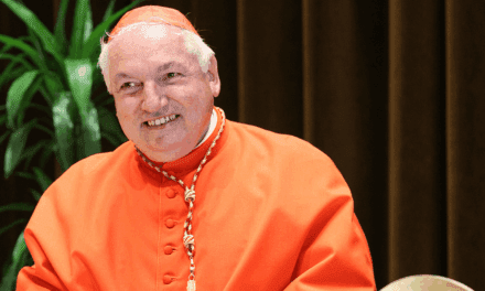 Quién es Jean-Marc Aveline, el cardenal francés que puede ser el sucesor del papa Francisco