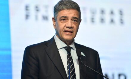 Yo creo en el Estado, no creo en la motosierra