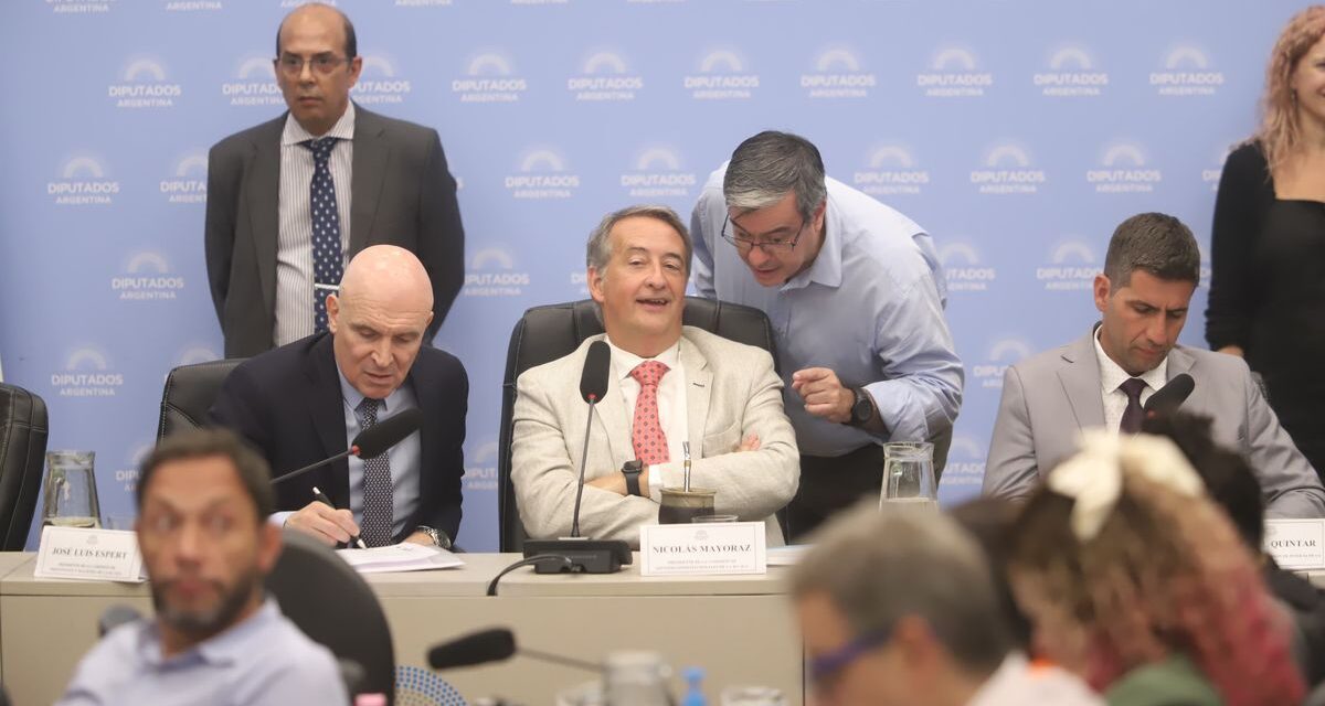 La grieta ya se estableció en el Congreso antes del ingreso del proyecto