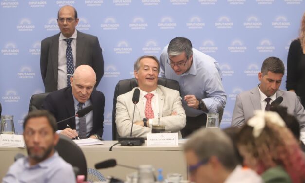 La grieta ya se estableció en el Congreso antes del ingreso del proyecto