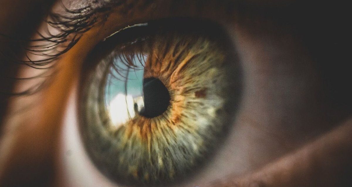Logran detectar con Inteligencia Artificial la deficiencia atencional a partir de una foto del ojo