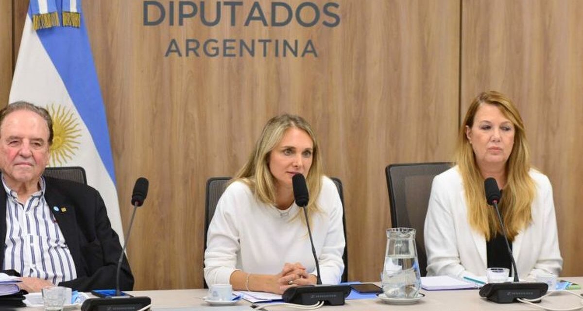 Oposición negocia dictamen en Diputados sobre prórroga de la moratoria y aumento del bono
