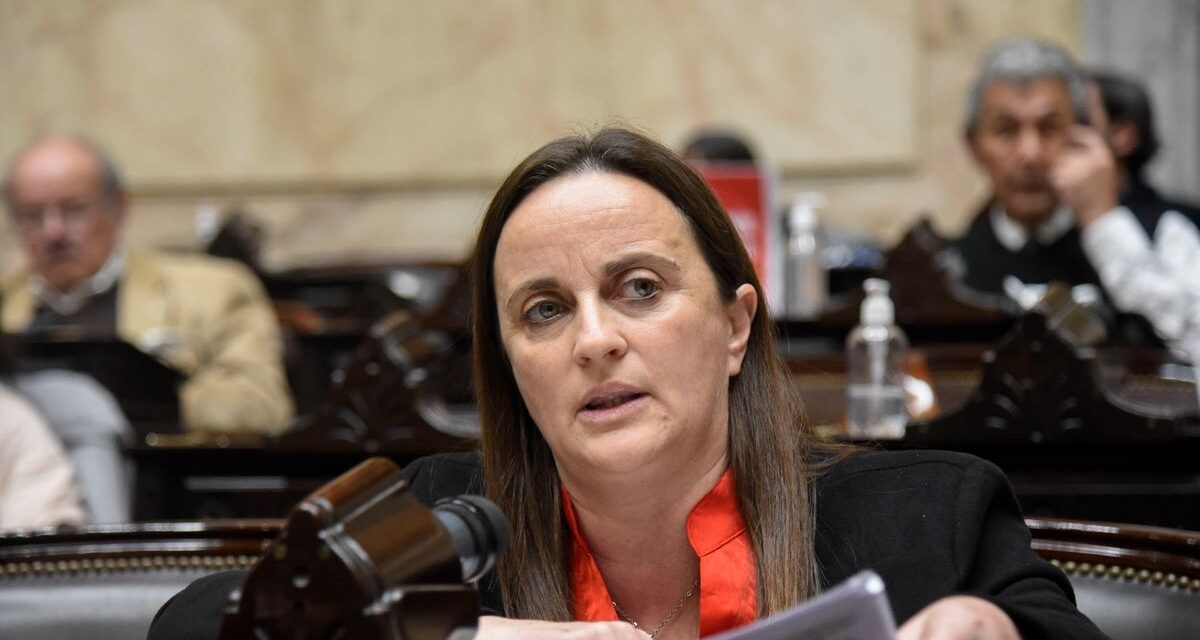 Sólo va a traer desempleo y desinversión