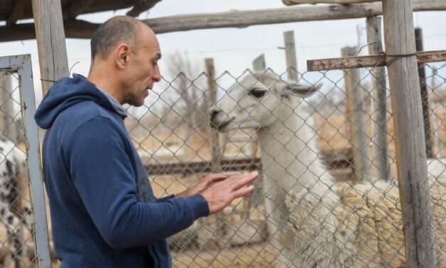 Cómo cuidar a las mascotas durante el invierno: Recomendaciones del veterinario Aldo “Pirata” Olivares