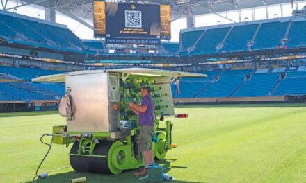 Pequeñas delicias del fútbol globalizado