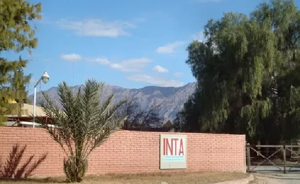 Fuerte rechazo del INTA San Juan a la reforma impulsada por el Gobierno Nacional