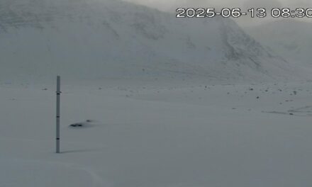 Fuerte nevada en Calingasta: más de 30 cm en el Valle de Carnicería