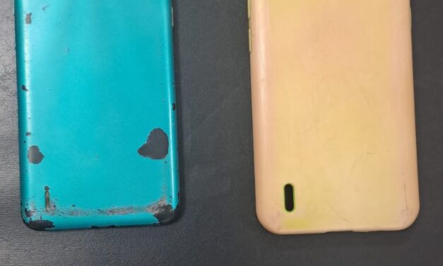 Cayó un joven por robarle el celular a su vecino en Pie de Palo