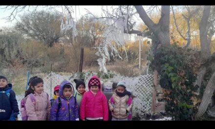 <div class="volanta-custom" style="
                color: #444;
                font-size: 0.8rem;
                font-weight: 600;
                line-height: 1.1;
                margin-bottom: 6px;
                text-transform: uppercase;
                letter-spacing: 0.3px;
                text-align: left;
            ">Valle Fertil</div><div class="post-title-custom" style="text-align: left;">Balde de las Chilcas: Así arrancó el invierno en el departamento</div>