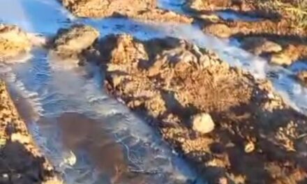 Calingasta amaneció congelada: La temperatura cayó a –6 °C